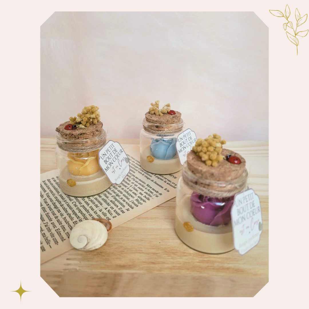 Trois petits flacons en verre sont joliment disposés sur un fond doux. Chacun contient une bougie artisanale couleur sable, surmontée d’une rose en cire : l’une bleue, l’autre jaune, la dernière prune. Une fleur d’immortelle est posée à l’intérieur de chaque bouchon. Les flacons sont entourés d’éléments naturels comme une feuille de vieux livre et quelques coquillages, évoquant la douceur de la Corse. L’ensemble est baigné dans une lumière naturelle, chaleureuse et poétique.